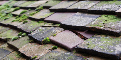 Tuxford roof repair costs